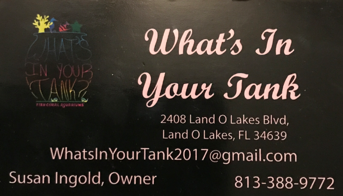 What’s In Your Tank